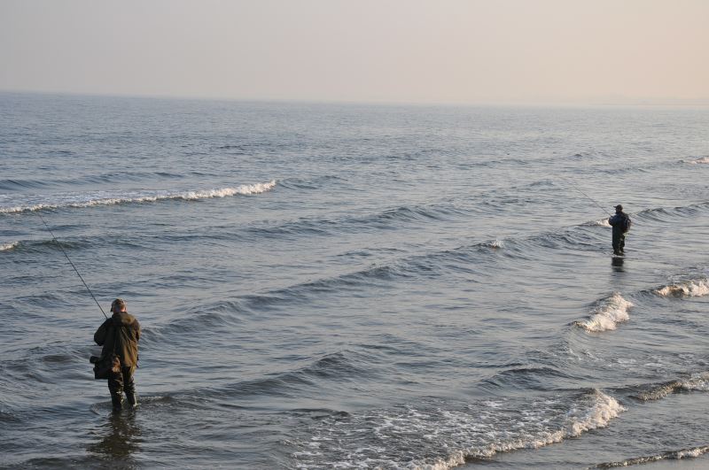 Angler im IJsselmeer Angler im IJsselmeer