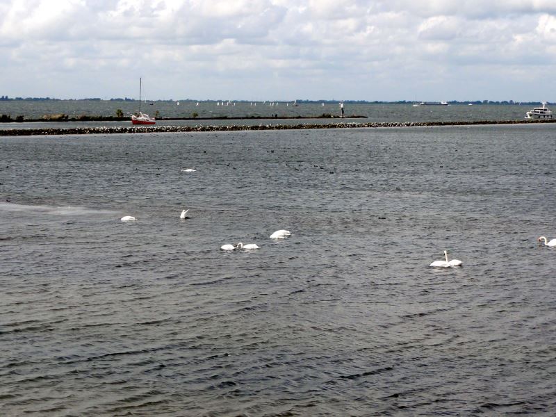 Vecht-Mündung ins IJsselmeer